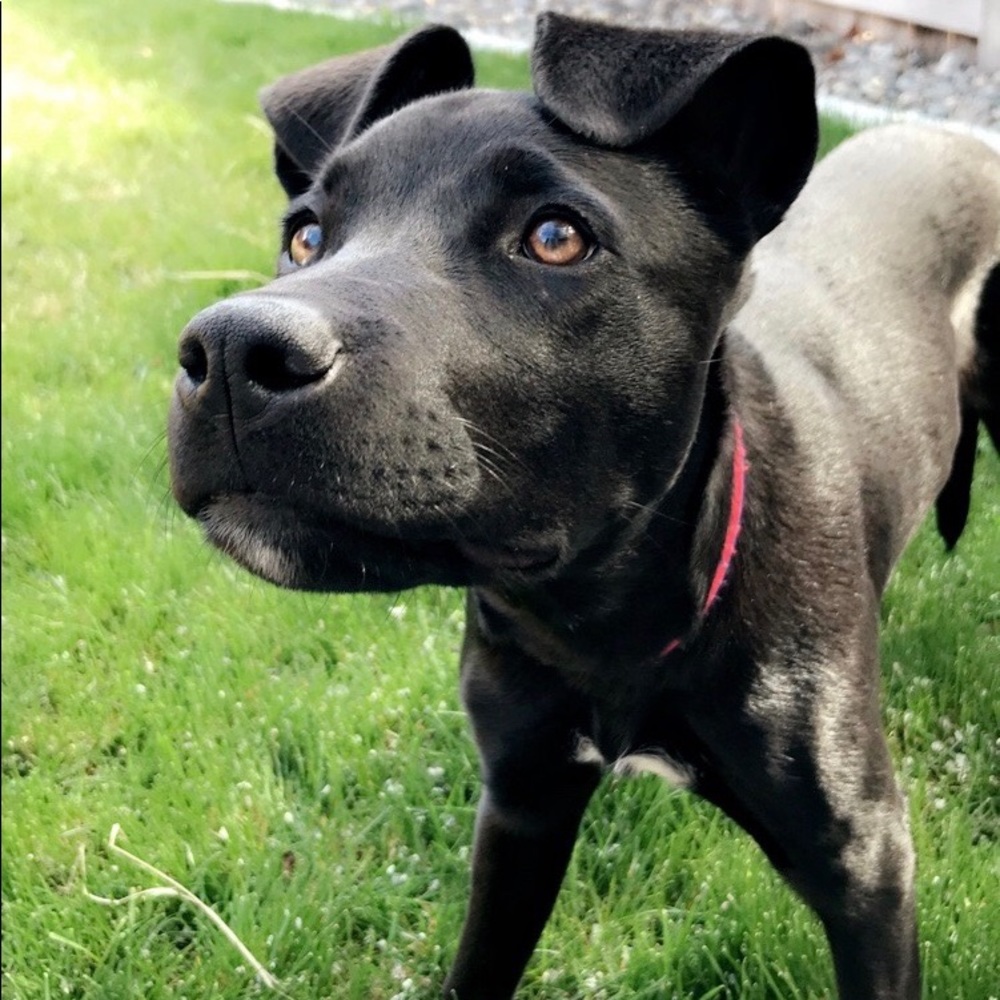 Meet your Posher, Jenna